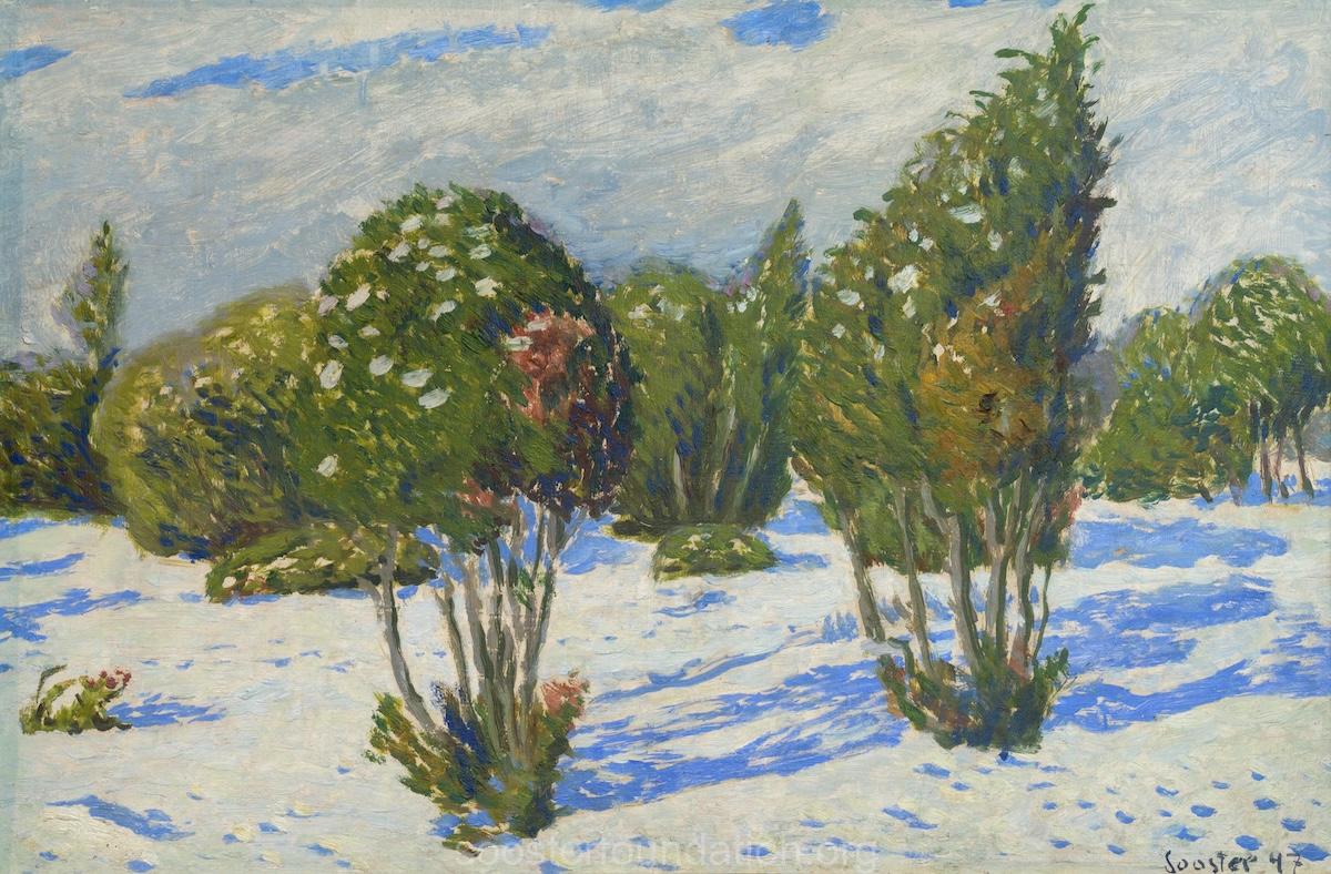 Talvised kadakad. 1940 Õli, lõuendil 38 x 58 cm