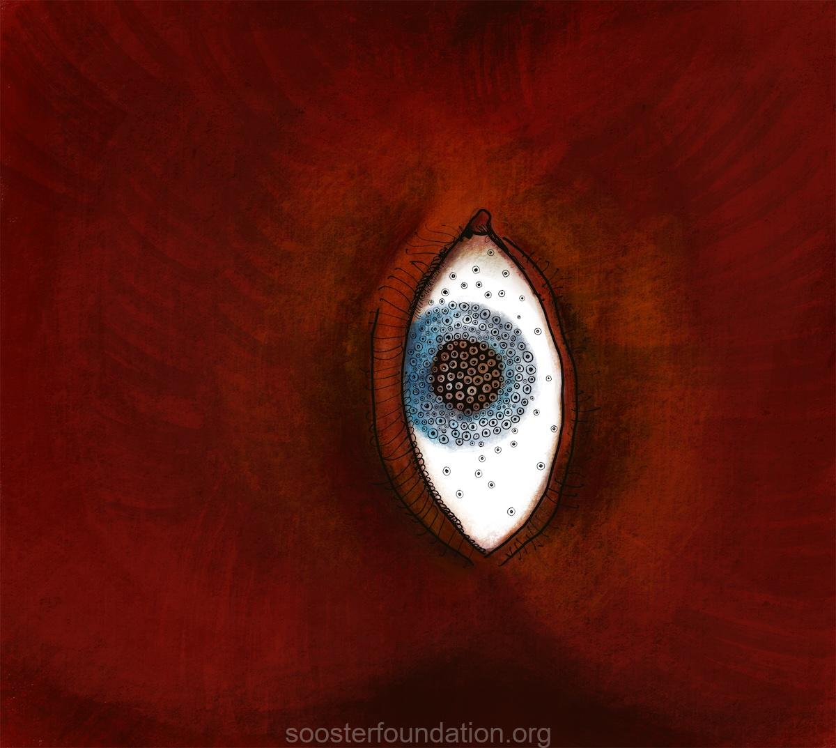 Школа Соостера